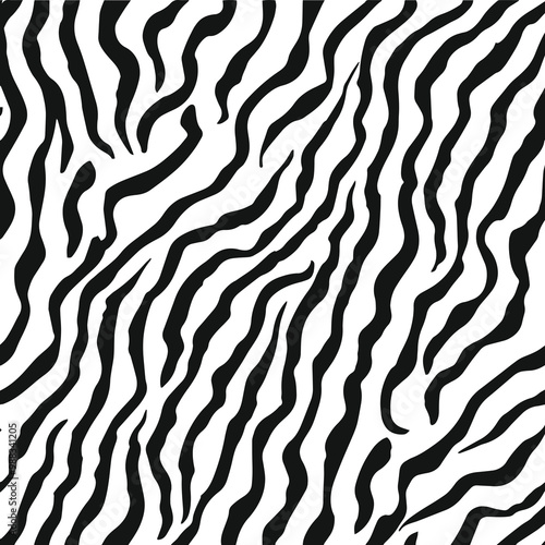 Zebra print or skin texture vector. Abstract zebra stripes pattern on white background.