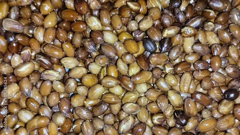 fried peanuts with brown skin on a large container fried peanuts with brown skin on a large container