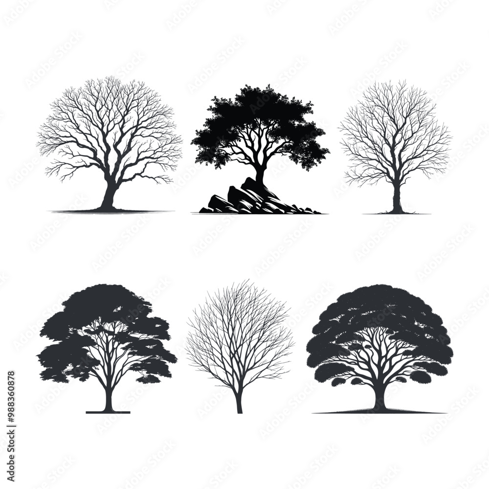 Obraz premium Elm Tree silhouette