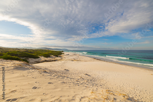 Panoramic views across white sandy Friendly Beaches in Tasmania, Australia photo