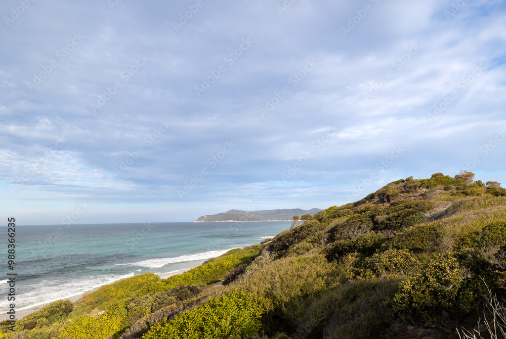 Panoramic views across white sandy Friendly Beaches in Tasmania, Australia Panoramic views across white sandy Friendly Beaches in Tasmania, Australia