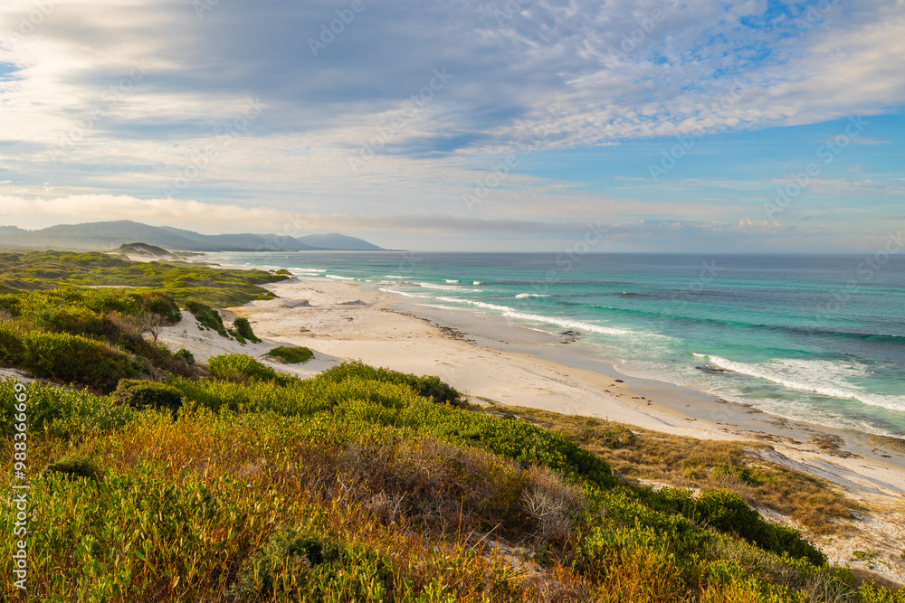 Panoramic views across white sandy Friendly Beaches in Tasmania, Australia Panoramic views across white sandy Friendly Beaches in Tasmania, Australia