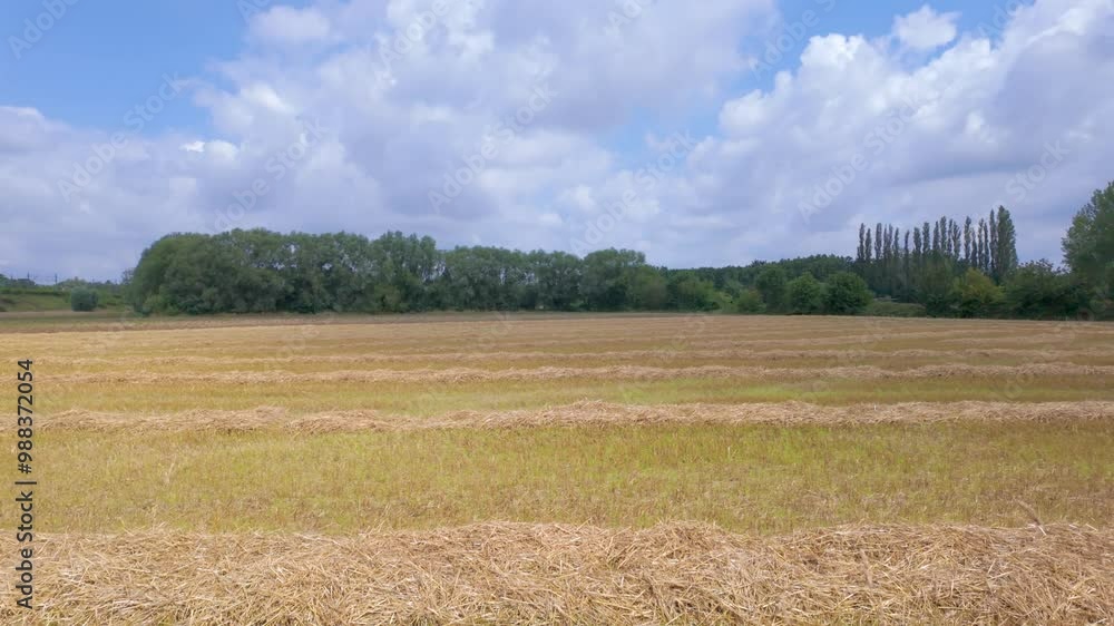 An incredibly picturesque landscape features expansive golden fields adorned with lush greenery beneath a vibrant sky An incredibly picturesque landscape features expansive golden fields adorned with lush greenery beneath a vibrant sky