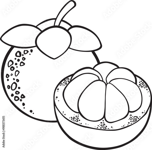 Composition with hand drawn mangosteen. Vector clip art ith tropical fruits.