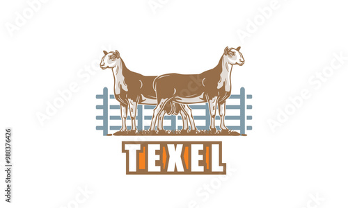 great texel sheep farm poster, silhouette of strong and big ram standing vector illustrations