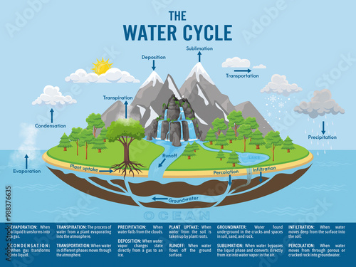 Water cycle infographic. Ecosystem concept. Water recycle, evaporation, condensation ecology diagram. Groundwater, water cycle. Hydrologic landscape. Geography school scheme. Vector illustration.
