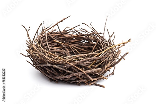 Empty bird nest isolated on white