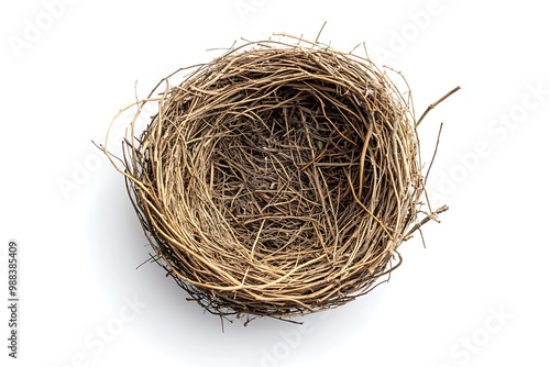 Horizontal shot of an Empty Bird's Nest on a White Background With Shadow.