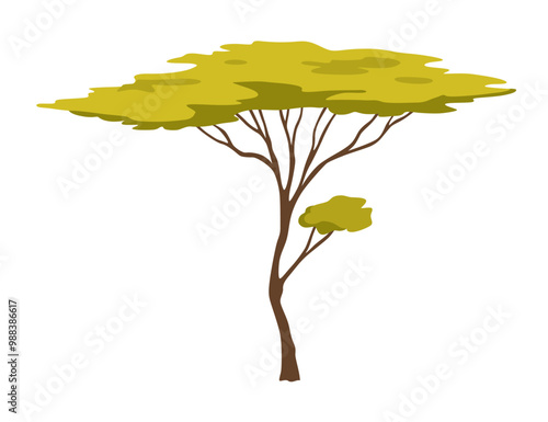 Three shapes of beautiful trees in African nature, vector illustration isolated no background
