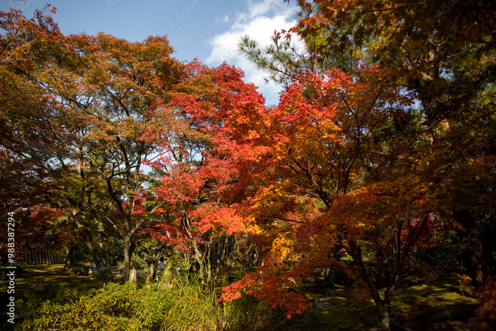 autumn in kyoto, japan autumn in kyoto, japan