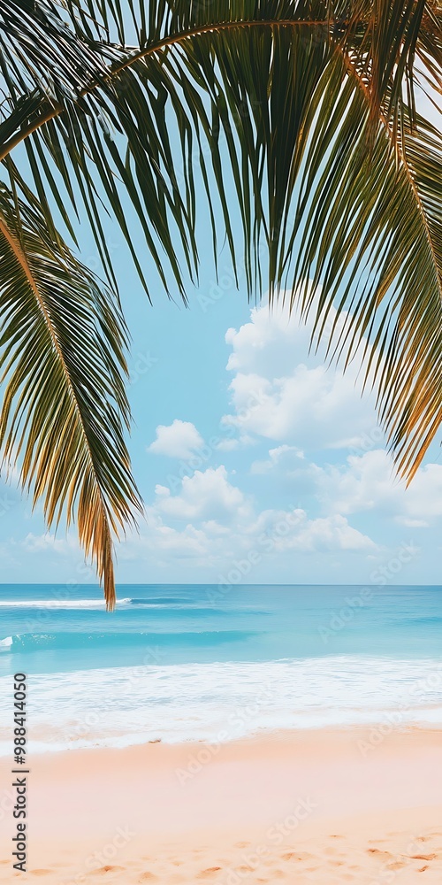 Tropical Beach With Palm Trees Tropical Beach With Palm Trees