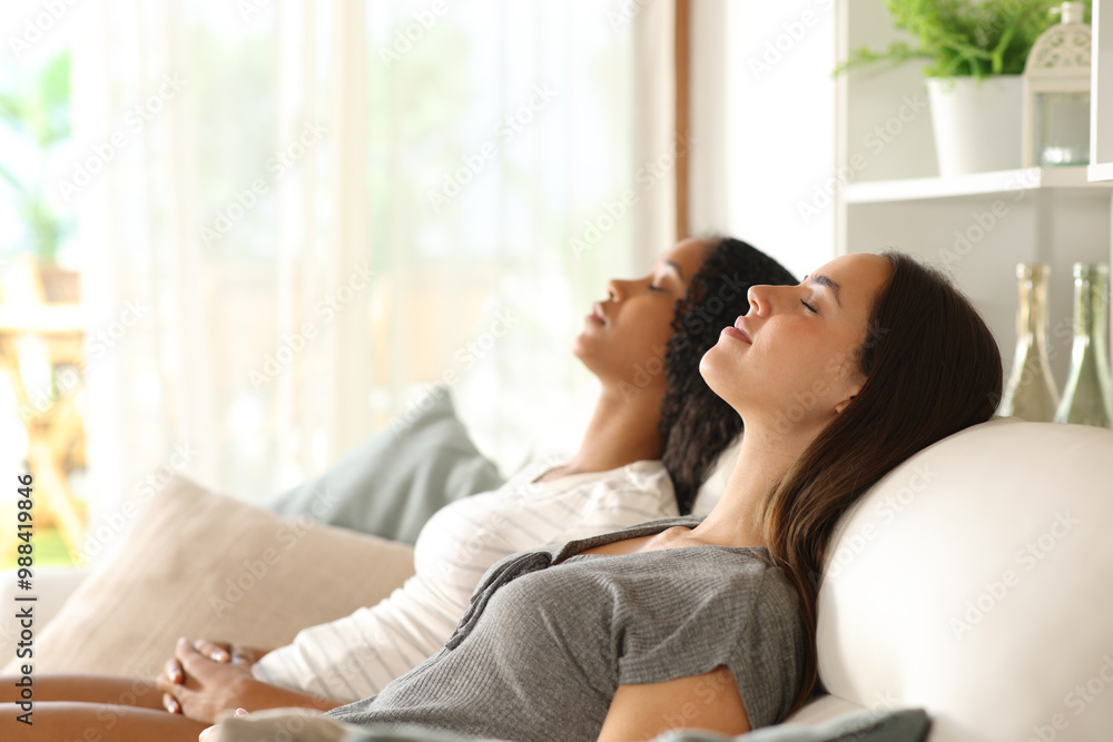 Two interracial roommates relaxing sitting on a couch Two interracial roommates relaxing sitting on a couch