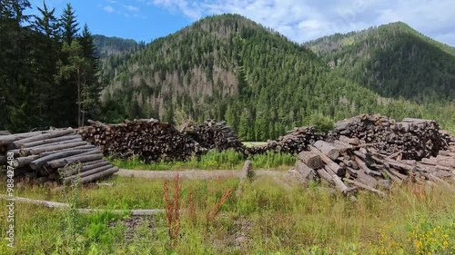 Mountain Landscape with Lush Forest and Timber Piles