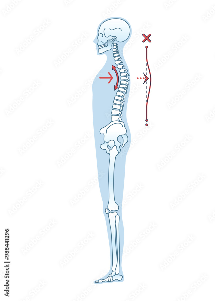 Obraz premium Standing Posture for Achieving Better Health and Wellness