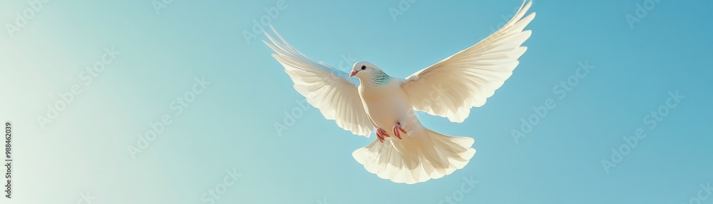 Majestic Dove Soaring in Peaceful Sky - Symbol of Timeless Beauty and Grace Majestic Dove Soaring in Peaceful Sky - Symbol of Timeless Beauty and Grace