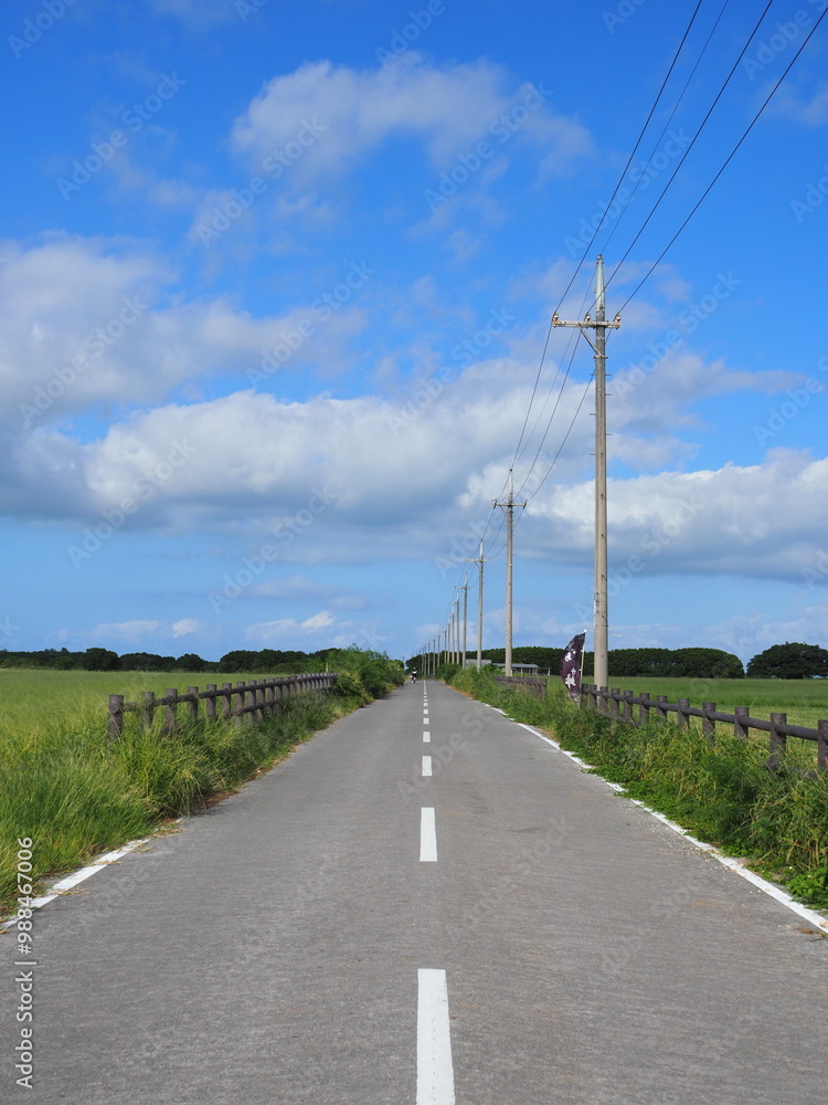 the road under the blue sky the road under the blue sky