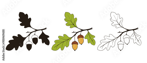Wallpaper Mural Oak branch with leaves and acorns, icon set  drawing, lineart contour and silhouette. Isolated on white background. Torontodigital.ca