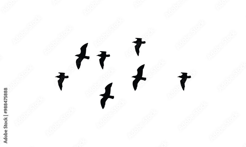 Obraz premium Flying Birds Vector Illustration Collection.