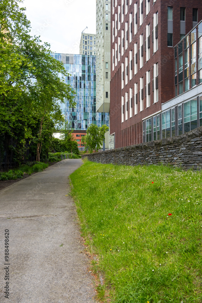 This image depicts a city path surrounded by modern buildings and abundant greenery, showcasing the blend of urban architecture and nature in a serene setting in Rotterdam This image depicts a city path surrounded by modern buildings and abundant greenery, showcasing the blend of urban architecture and nature in a serene setting in Rotterdam