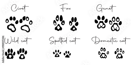 Photography Hand drawn wild animals foot prints
