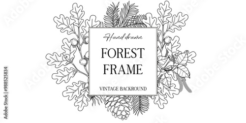 Hand drawn autumn botanical frame with falling leaves. Vector illustration in sketch style isolated on white. Realistic forest design element. Space for text