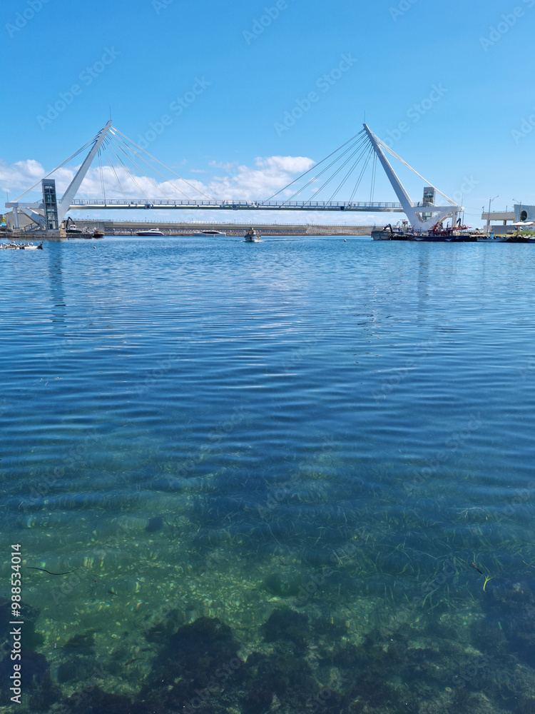 Fototapeta premium This is a view of Daepohang Bridge and the sea.