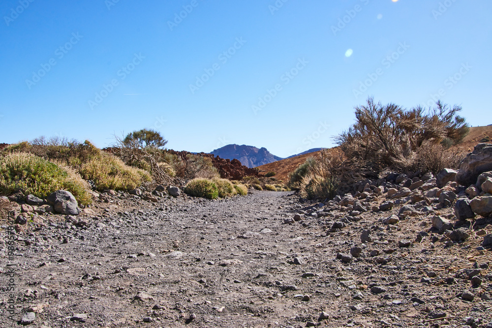 Fototapeta premium Teneriffa Reise. Auf dem Weg zum Teide