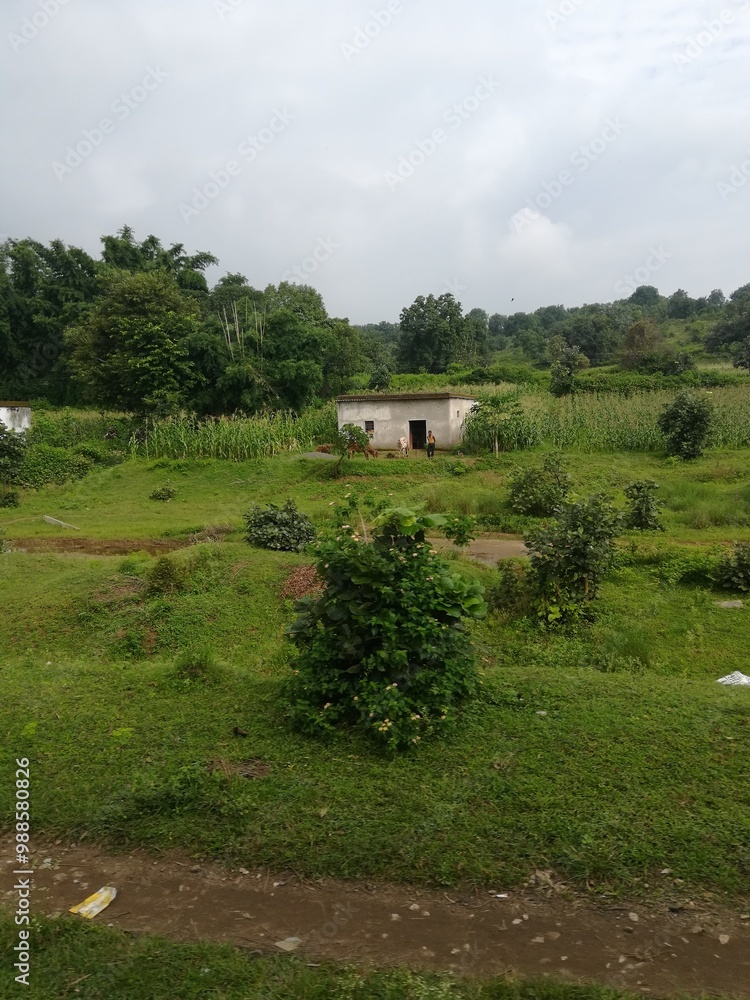 Obraz premium house in the mountains