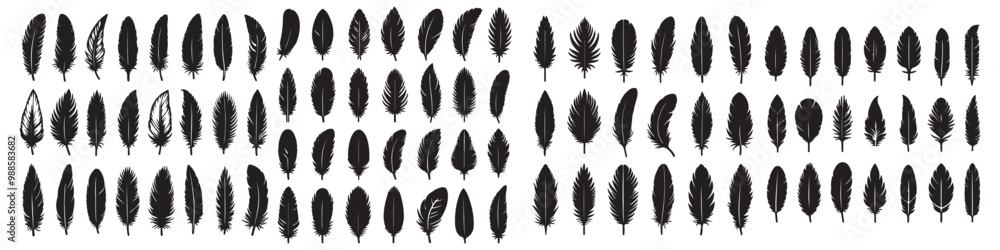 Bird feather icon set Feather vector icons. Feather silhouette Bird feather icon set Feather vector icons. Feather silhouette