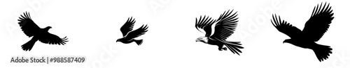 Black silhouettes of hawks and eagles, outspread wings, swoop downwards, hunting. Emblem of American Patriots.