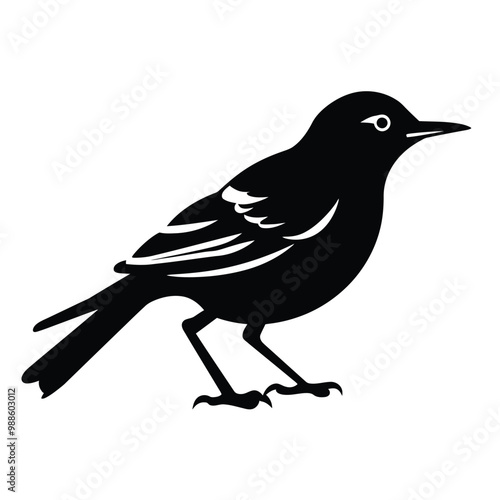 black silhouette of a mockingbird isolated on white background