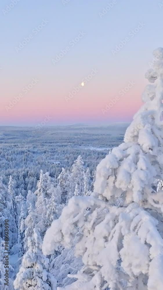 Polar night in Lapland, Drone flying in front of snow covered and the moon Polar night in Lapland, Drone flying in front of snow covered and the moon