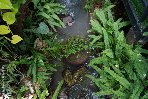 Old wooden bridge and wooden stairs with broken and rotten planks underfoot across the tropical plant river.