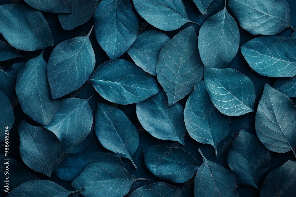 A top-down view of blue leaves on the ground, with a navy background and a color palette of dark green and purple. A top-down view of blue leaves on the ground, with a navy background and a color palette of dark green and purple.