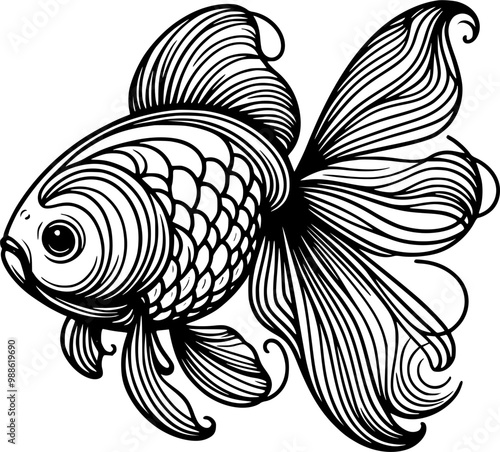 illustration of a gold fish. goldfish isolated on white