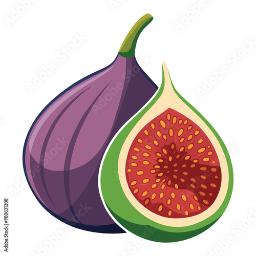 Fig fruit illustration on white background.