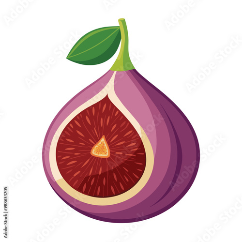 Fig fruit illustration on white background.