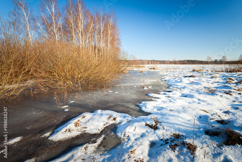 Frozen water and snow in a field with bushes, sunny winter day view