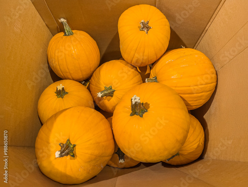 Halloween pumpkins in a box at market place.  