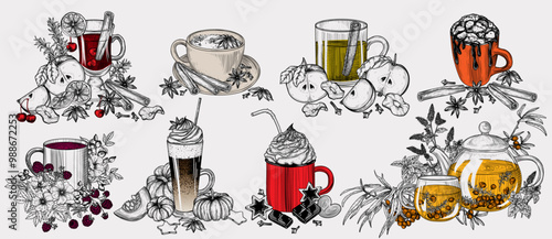Vector set of 8 autumn drinks. Sea buckthorn tea, marshmallow cocoa, apple cider, spiced tea latte, hot chocolate with cream, pumpkin spice latte, tea with rose hips and raspberries, mulled wine