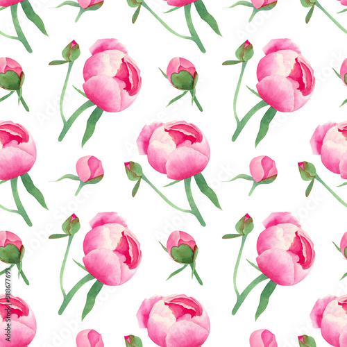 Wallpaper Mural Watercolor peonies background. Seamless hand drawn pattern with delicate pink flowers, green leaves and branch for textile, fabric texture, wallpapers Torontodigital.ca