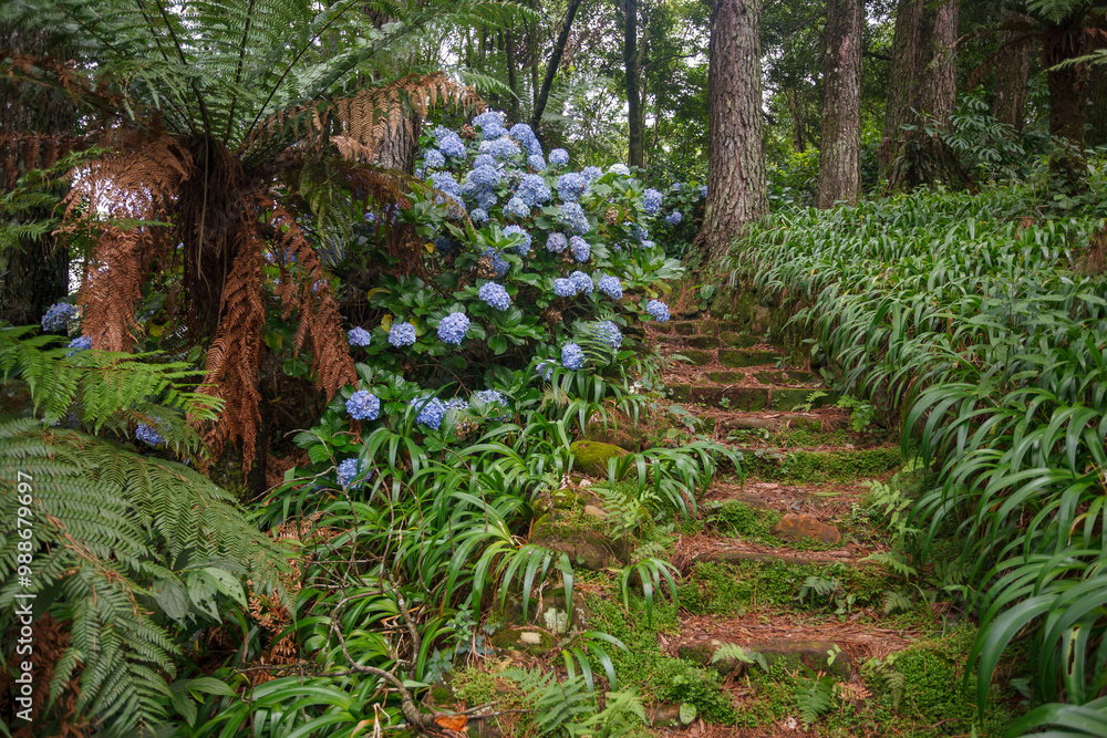 Le Jardin, lavender garden in Gramado, Serra Gaucha, Rio Grande do Sul, Brazil.