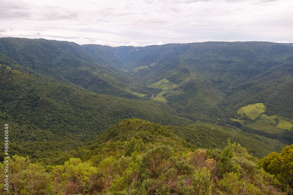 Fototapeta premium Serra do mar forest in Serra Gaucha, Rio Grande do Sul, Brazil.
