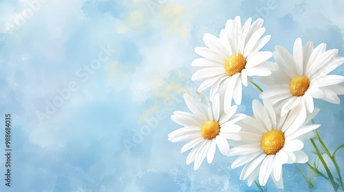 Delicate Daisies Against a Serene Sky