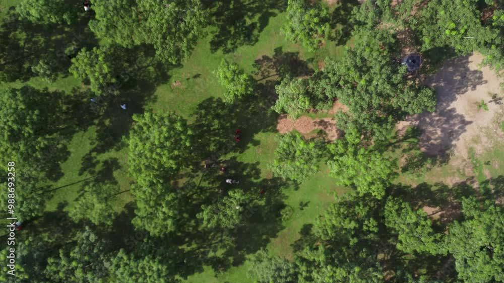 Aerial View of Lush Green Forest, village silk cotton garden in Bangladesh Landscape - Nature Background Video Aerial View of Lush Green Forest, village silk cotton garden in Bangladesh Landscape - Nature Background Video