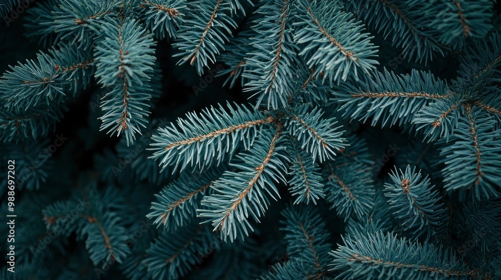 short needles of a coniferous tree close-up on a green background, texture of needles of a Christmas tree close-up, blue pine branches, with generative ai short needles of a coniferous tree close-up on a green background, texture of needles of a Christmas tree close-up, blue pine branches, with generative ai