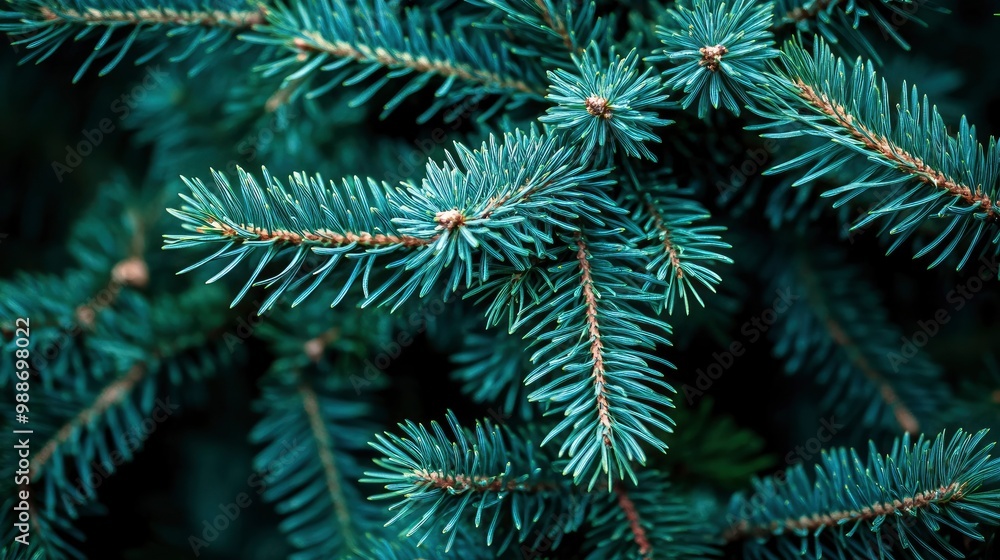 short needles of a coniferous tree close-up on a green background, texture of needles of a Christmas tree close-up, blue pine branches, with generative ai