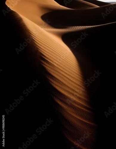 Desert