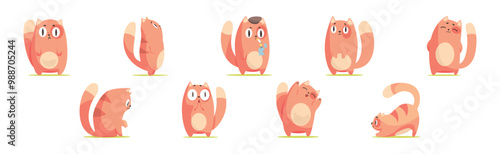 Funny Cat Character Tame Pet with Tail and Cute Snout Vector Set