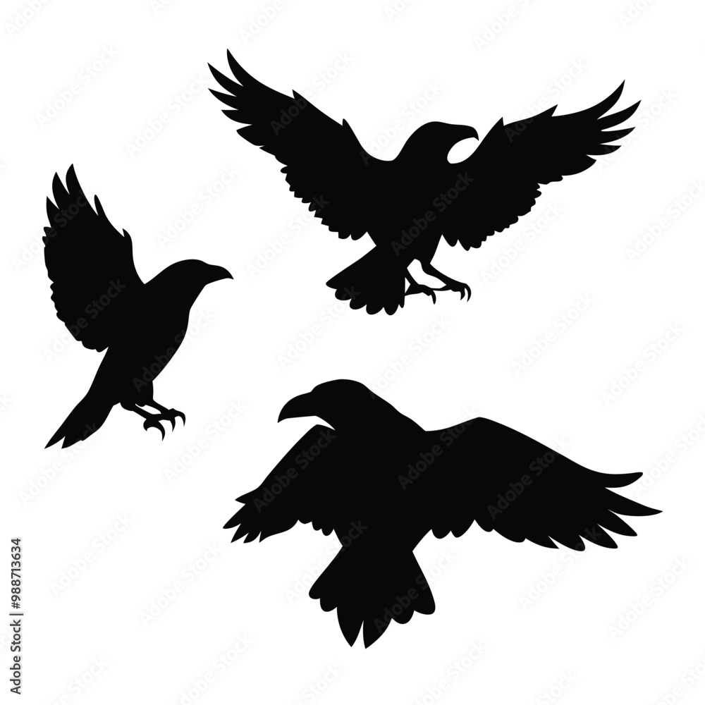 Fototapeta premium black silhouette of three crows. The crows are facing each other and appear to be in mid-flight. vector silhouette,